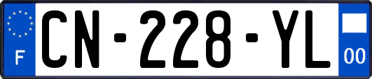 CN-228-YL