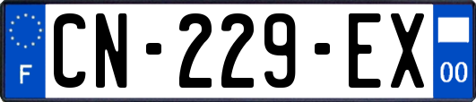 CN-229-EX