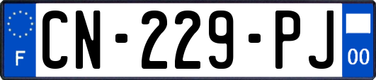 CN-229-PJ