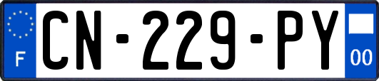 CN-229-PY