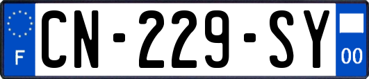 CN-229-SY