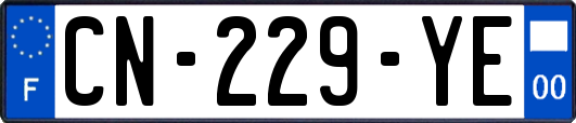 CN-229-YE