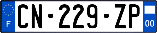 CN-229-ZP