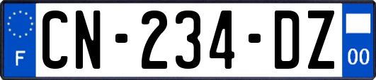 CN-234-DZ