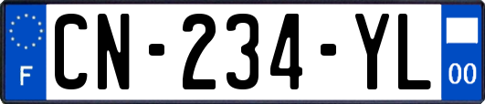 CN-234-YL