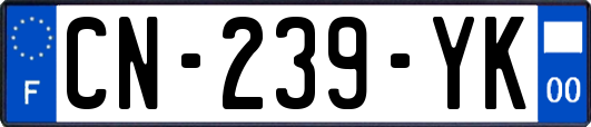 CN-239-YK