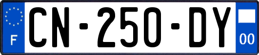 CN-250-DY