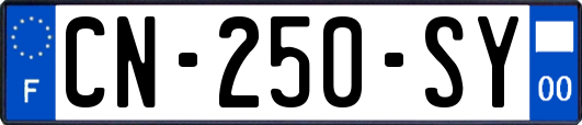 CN-250-SY