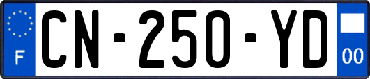 CN-250-YD