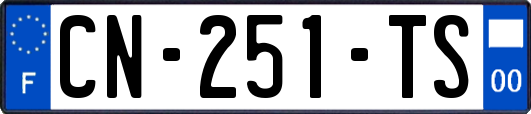 CN-251-TS