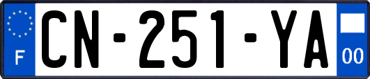 CN-251-YA