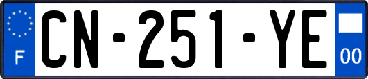 CN-251-YE