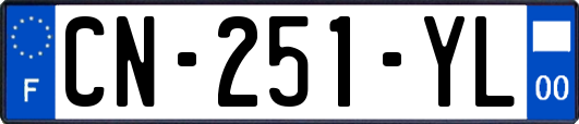 CN-251-YL