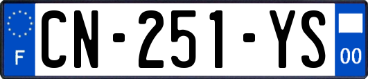 CN-251-YS