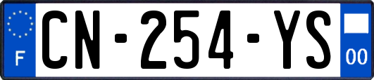 CN-254-YS