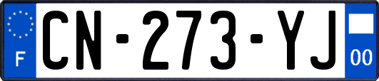 CN-273-YJ