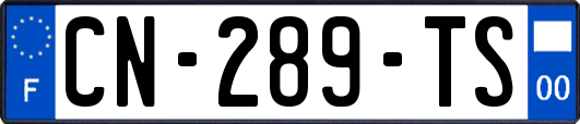 CN-289-TS