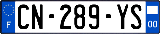 CN-289-YS