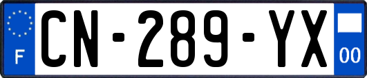 CN-289-YX