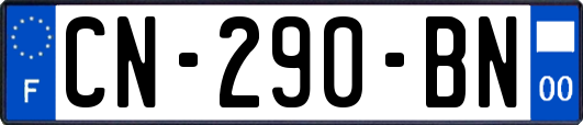 CN-290-BN