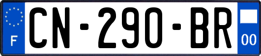 CN-290-BR