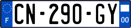 CN-290-GY