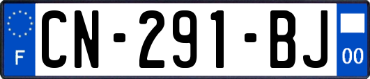 CN-291-BJ