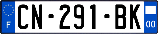 CN-291-BK