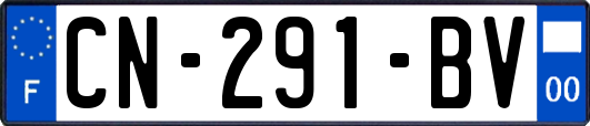 CN-291-BV