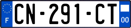 CN-291-CT