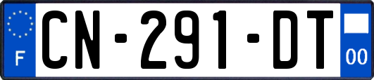CN-291-DT