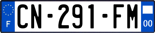 CN-291-FM