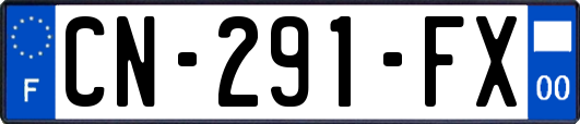 CN-291-FX