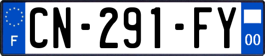 CN-291-FY