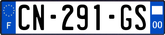 CN-291-GS