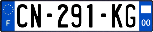 CN-291-KG