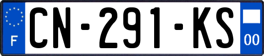 CN-291-KS