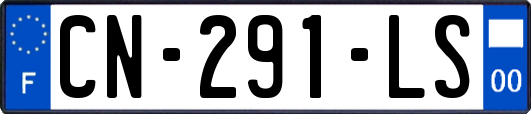 CN-291-LS