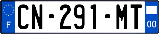 CN-291-MT