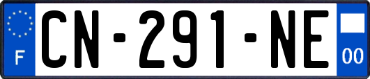 CN-291-NE