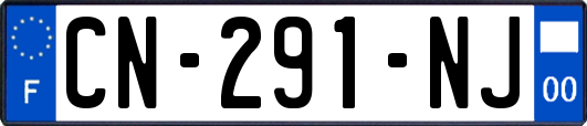 CN-291-NJ