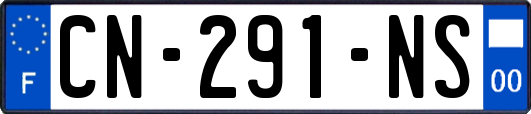 CN-291-NS
