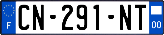 CN-291-NT