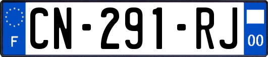 CN-291-RJ