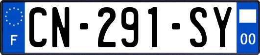 CN-291-SY