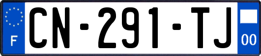 CN-291-TJ