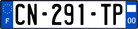 CN-291-TP