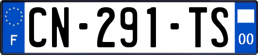 CN-291-TS