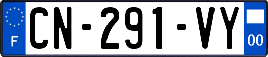 CN-291-VY