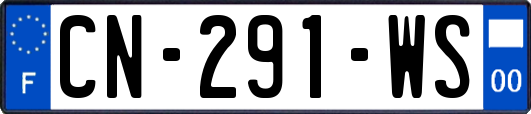 CN-291-WS